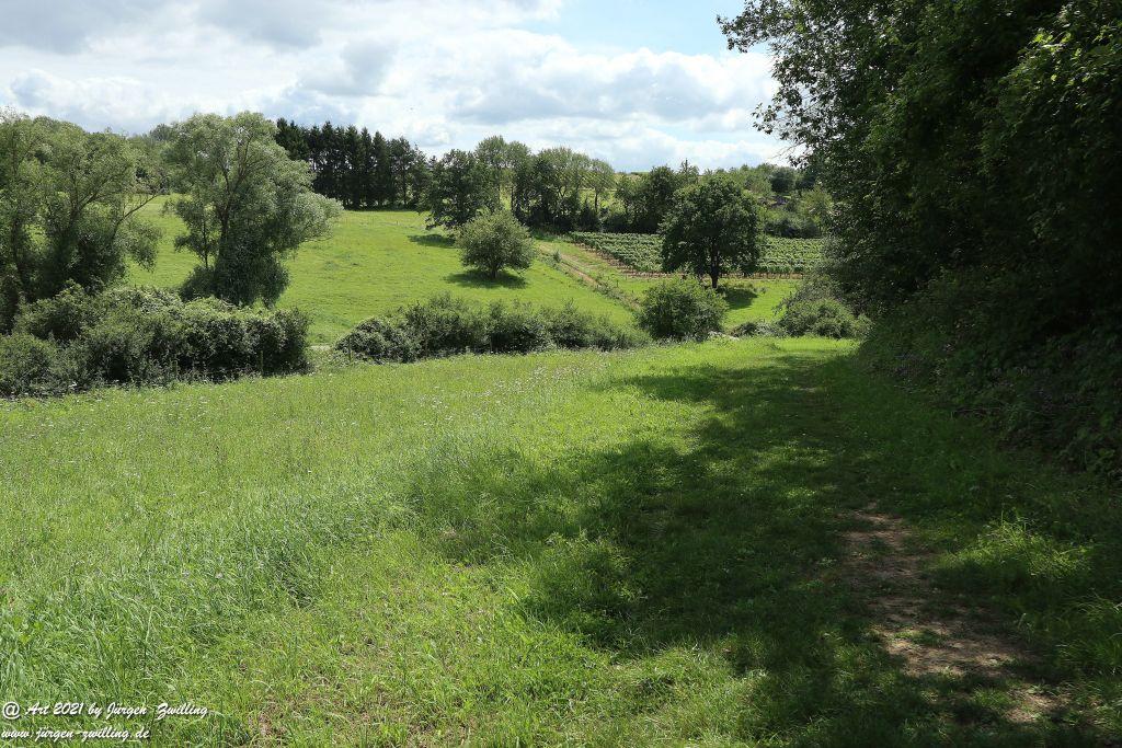 Philosophische Bildwanderung Vitaltour Hergenfelder Kuckucksweg - Hergenfeld - Rheinhessen