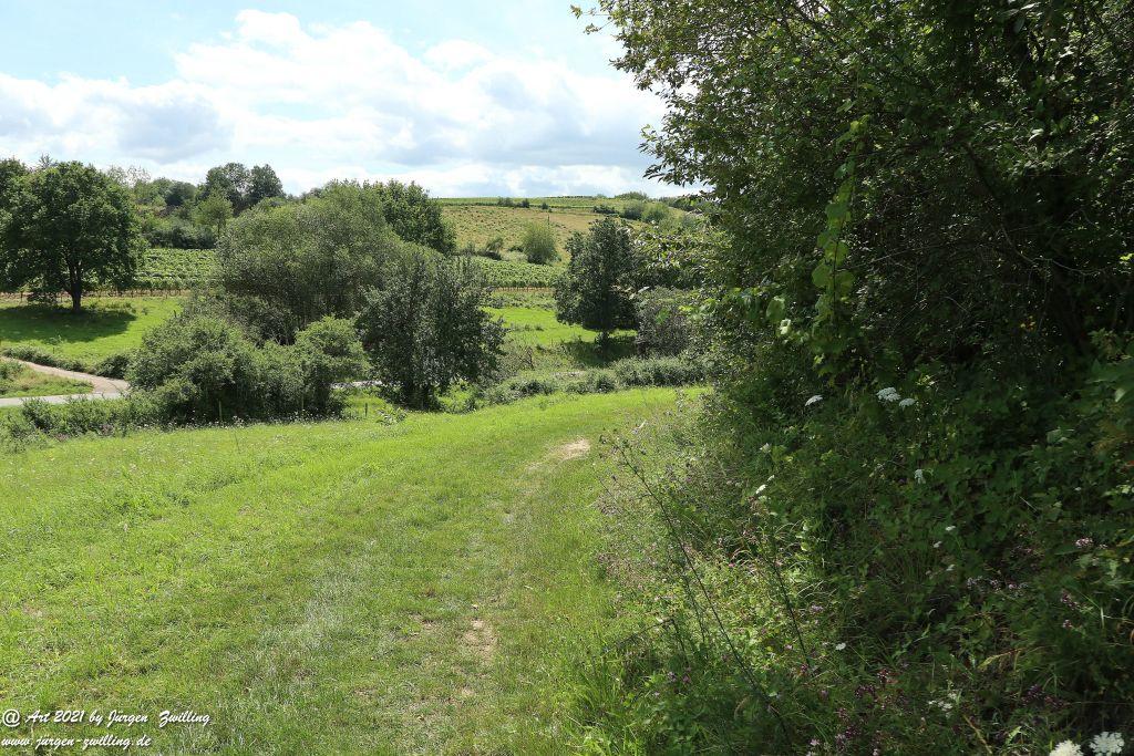 Philosophische Bildwanderung Vitaltour Hergenfelder Kuckucksweg - Hergenfeld - Rheinhessen