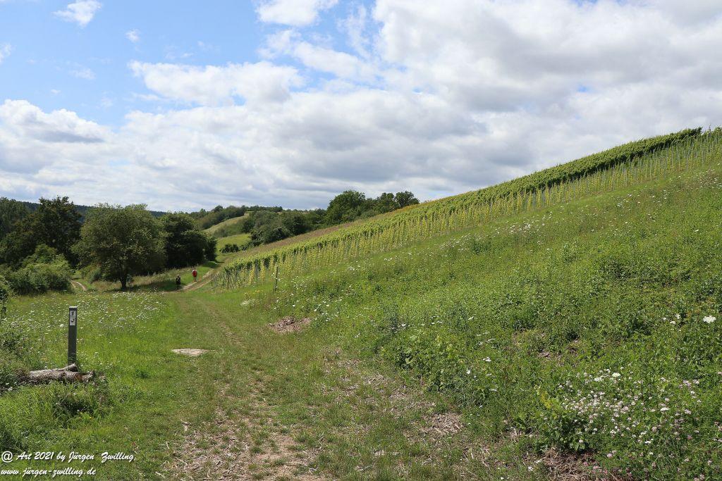 Philosophische Bildwanderung Vitaltour Hergenfelder Kuckucksweg - Hergenfeld - Rheinhessen