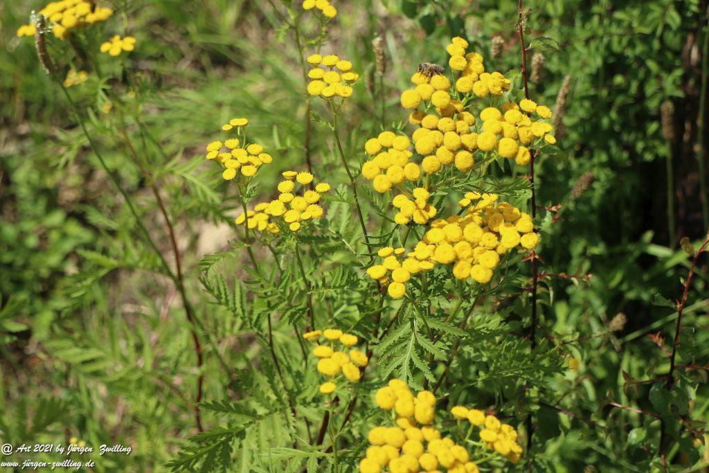 Philosophische Bildwanderung Vitaltour Hergenfelder Kuckucksweg - Hergenfeld - Rheinhessen
