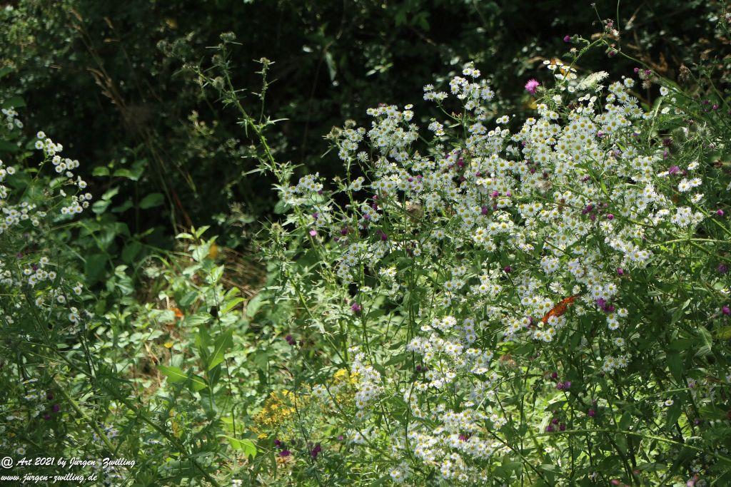 Philosophische Bildwanderung Vitaltour Hergenfelder Kuckucksweg - Hergenfeld - Rheinhessen