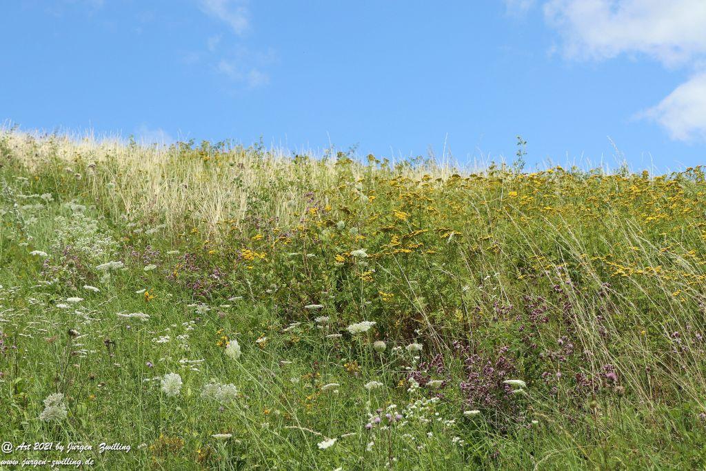 Philosophische Bildwanderung Vitaltour Hergenfelder Kuckucksweg - Hergenfeld - Rheinhessen