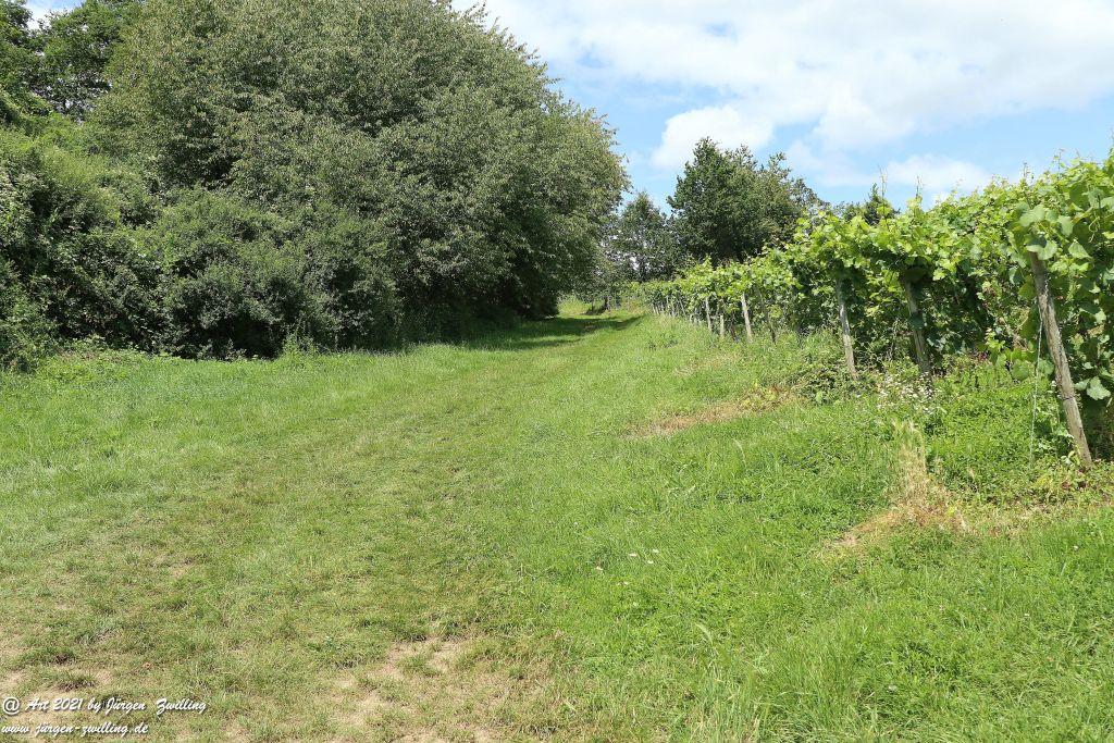 Philosophische Bildwanderung Vitaltour Hergenfelder Kuckucksweg - Hergenfeld - Rheinhessen