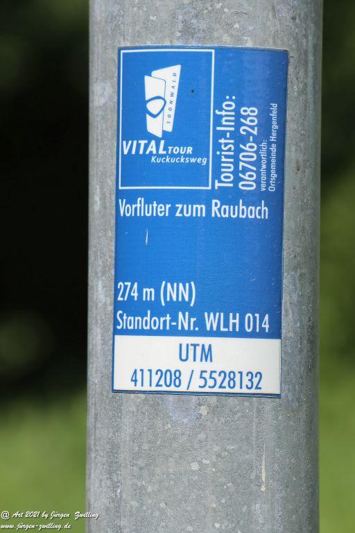 Philosophische Bildwanderung Vitaltour Hergenfelder Kuckucksweg - Hergenfeld - Rheinhessen