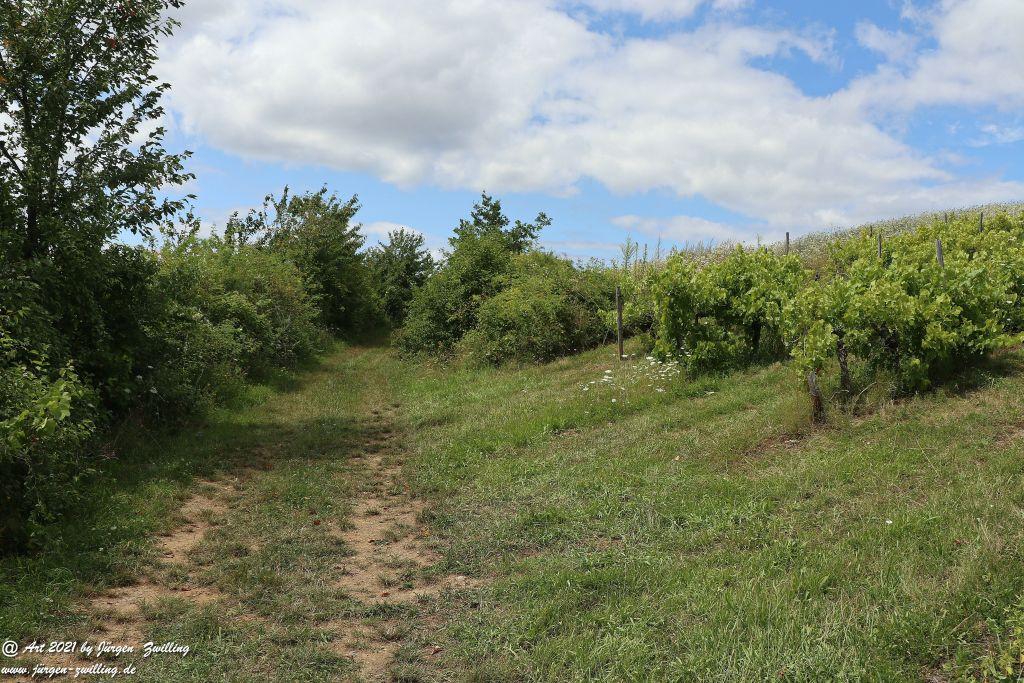 Philosophische Bildwanderung  Vitaltour Hergenfelder Kuckucksweg - Hergenfeld - Rheinhessen
