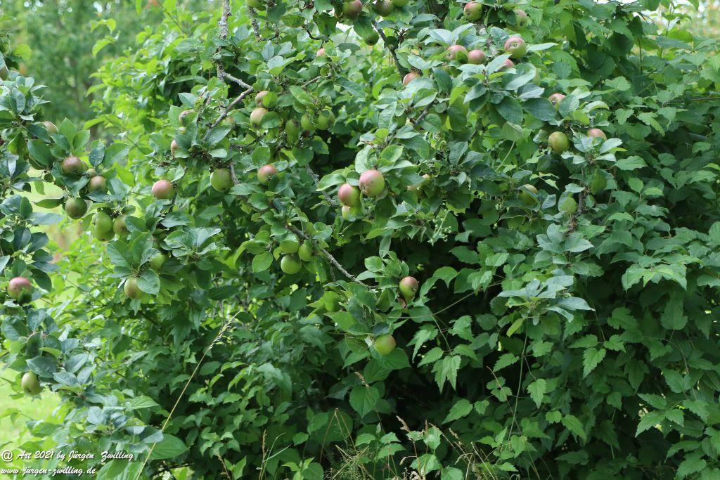 Philosophische Bildwanderung Vitaltour Hergenfelder Kuckucksweg - Hergenfeld - Rheinhessen