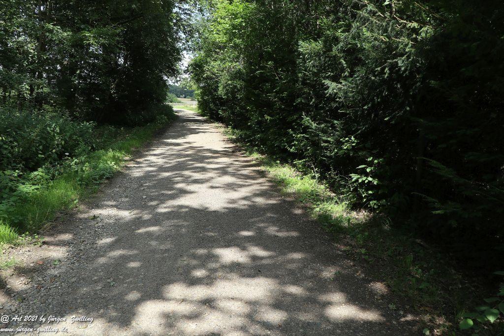 Philosophische Bildwanderung  Vitaltour Hergenfelder Kuckucksweg - Hergenfeld - Rheinhessen