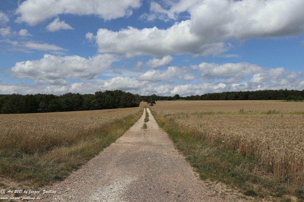 Philosophische Bildwanderung  Vitaltour Hergenfelder Kuckucksweg - Hergenfeld - Rheinhessen