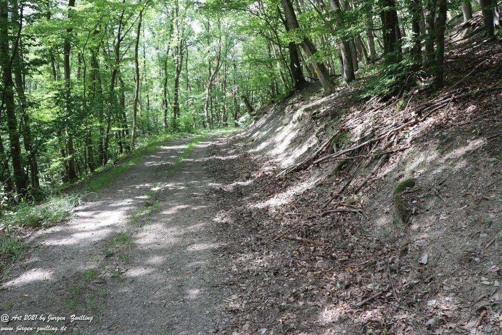 Philosophische Bildwanderung Vitaltour Hergenfelder Kuckucksweg - Hergenfeld - Rheinhessen