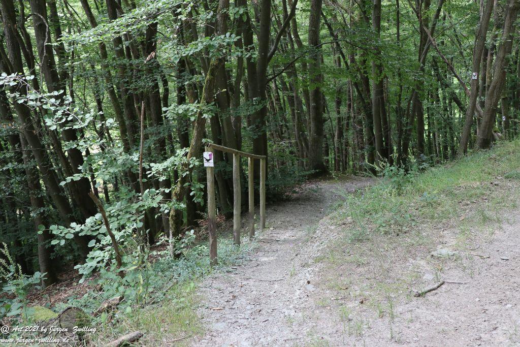 Philosophische Bildwanderung Vitaltour Hergenfelder Kuckucksweg - Hergenfeld - Rheinhessen
