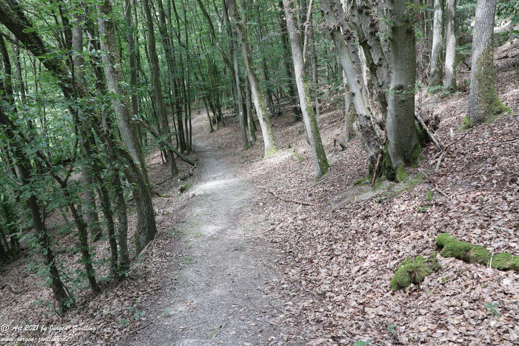 Philosophische Bildwanderung Vitaltour Hergenfelder Kuckucksweg - Hergenfeld - Rheinhessen