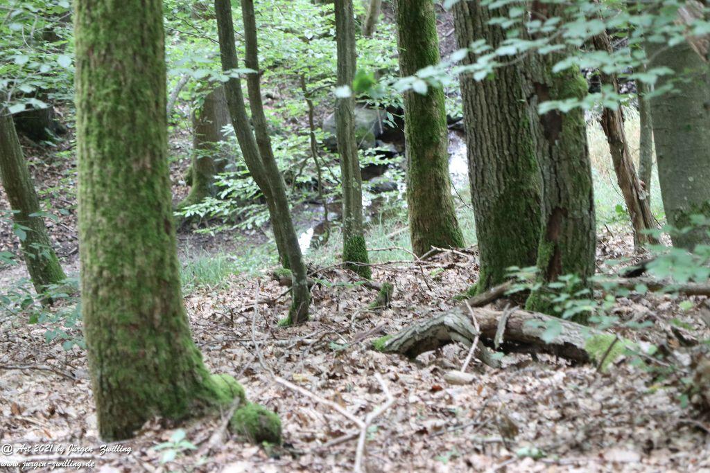 Philosophische Bildwanderung Vitaltour Hergenfelder Kuckucksweg - Hergenfeld - Rheinhessen