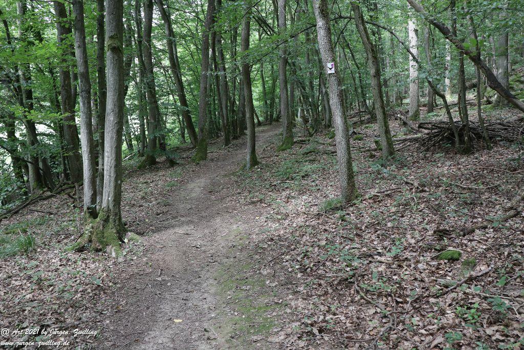 Philosophische Bildwanderung Vitaltour Hergenfelder Kuckucksweg - Hergenfeld - Rheinhessen