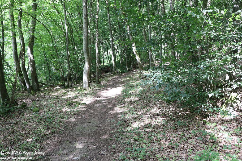 Philosophische Bildwanderung Vitaltour Hergenfelder Kuckucksweg - Hergenfeld - Rheinhessen