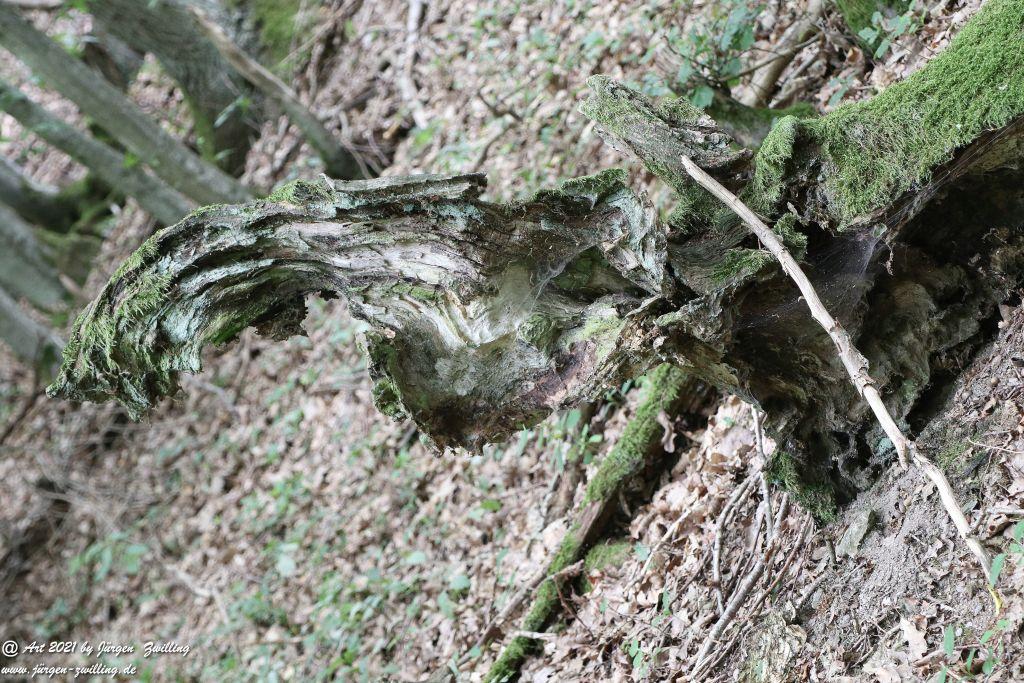 Philosophische Bildwanderung Vitaltour Hergenfelder Kuckucksweg - Hergenfeld - Rheinhessen