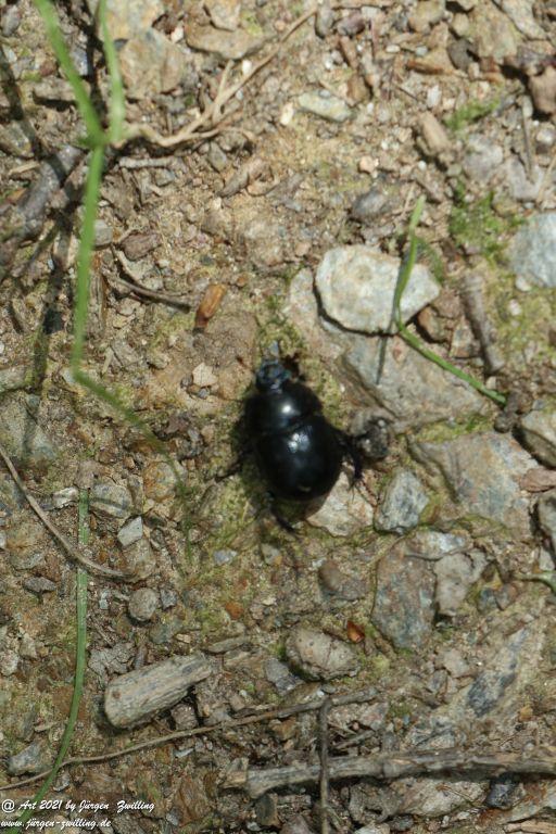 Philosophische Bildwanderung Vitaltour Hergenfelder Kuckucksweg - Hergenfeld - Rheinhessen