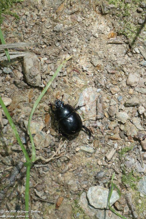Philosophische Bildwanderung Vitaltour Hergenfelder Kuckucksweg - Hergenfeld - Rheinhessen