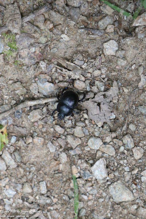 Philosophische Bildwanderung Vitaltour Hergenfelder Kuckucksweg - Hergenfeld - Rheinhessen