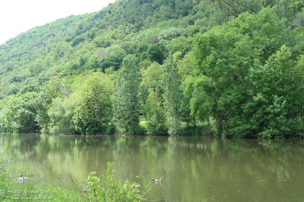 Roseninsel in Bad Kreuznach - Rheinhessen