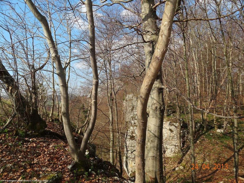 Philosophische Bildwanderung Traufgang-Schlossfelsenpfad