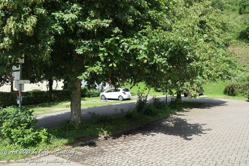 Philosophische Bildwanderung Klösterle Schleife - Burgbach Wasserfall - Bad Rippoldsau - Schwarzwald