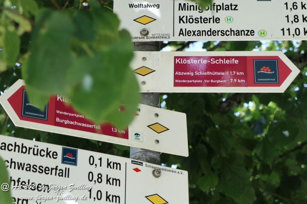 Philosophische Bildwanderung Klösterle Schleife - Burgbach Wasserfall - Bad Rippoldsau - Schwarzwald