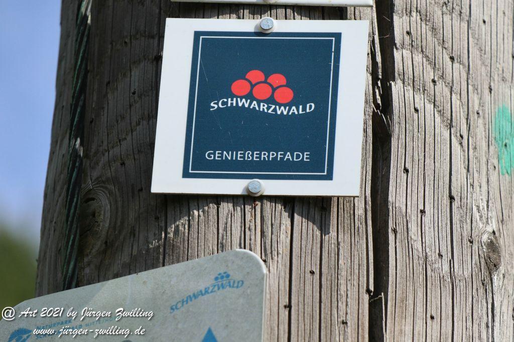 Philosophische Bildwanderung Klösterle Schleife - Burgbach Wasserfall - Bad Rippoldsau - Schwarzwald