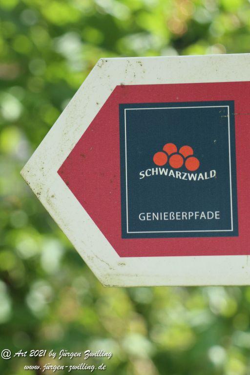 Philosophische Bildwanderung Klösterle Schleife - Burgbach Wasserfall - Bad Rippoldsau - Schwarzwald