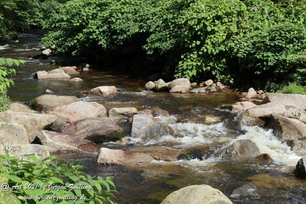 Philosophische Bildwanderung Klösterle Schleife - Burgbach Wasserfall - Bad Rippoldsau - Schwarzwald