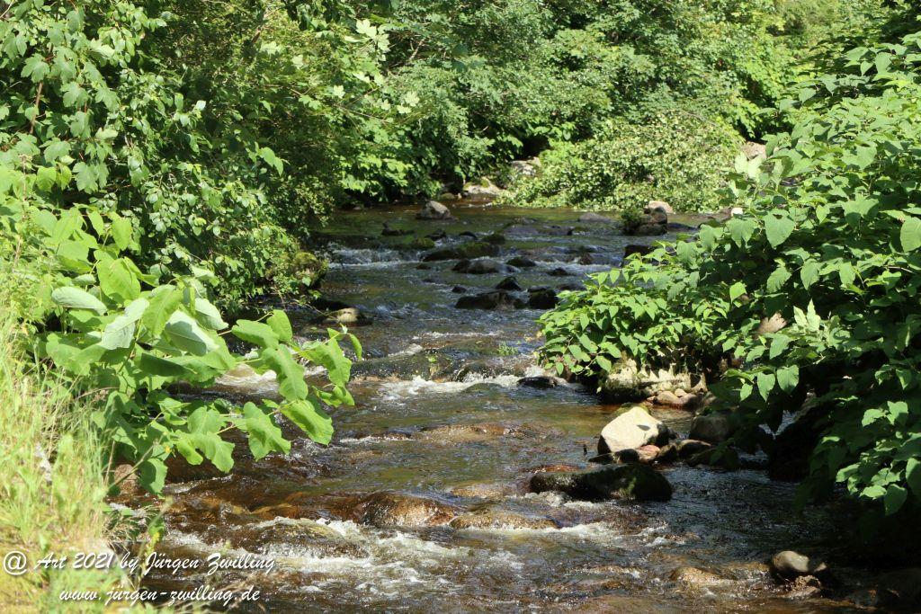 Philosophische Bildwanderung Klösterle Schleife - Burgbach Wasserfall - Bad Rippoldsau - Schwarzwald
