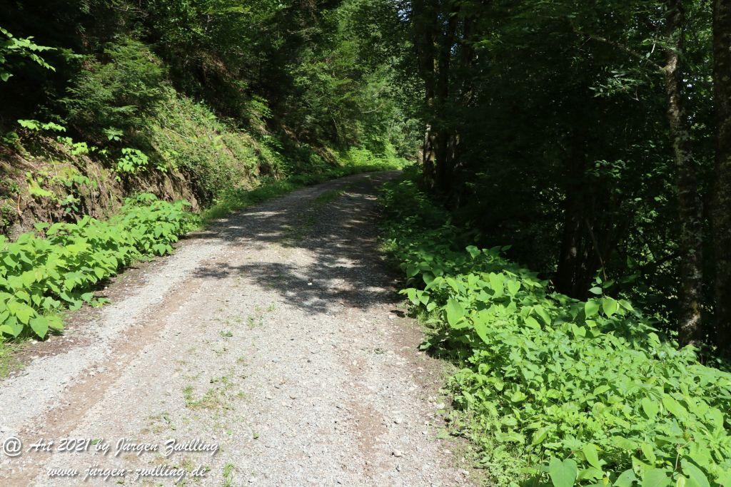 Philosophische Bildwanderung Klösterle Schleife - Burgbach Wasserfall - Bad Rippoldsau - Schwarzwald