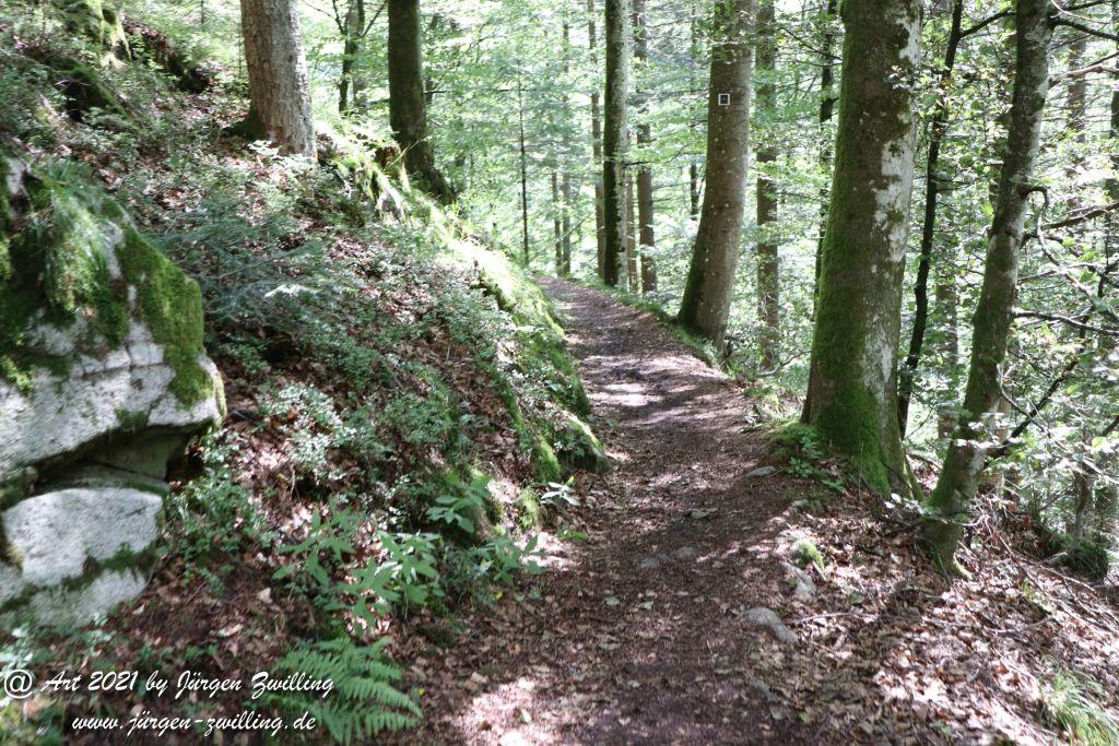 Philosophische Bildwanderung Klösterle Schleife - Burgbach Wasserfall - Bad Rippoldsau - Schwarzwald