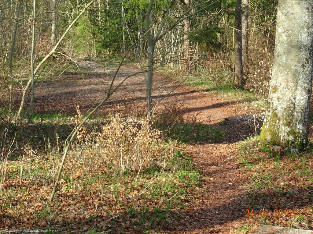 Philosophische Bildwanderung Traufgang-Schlossfelsenpfad