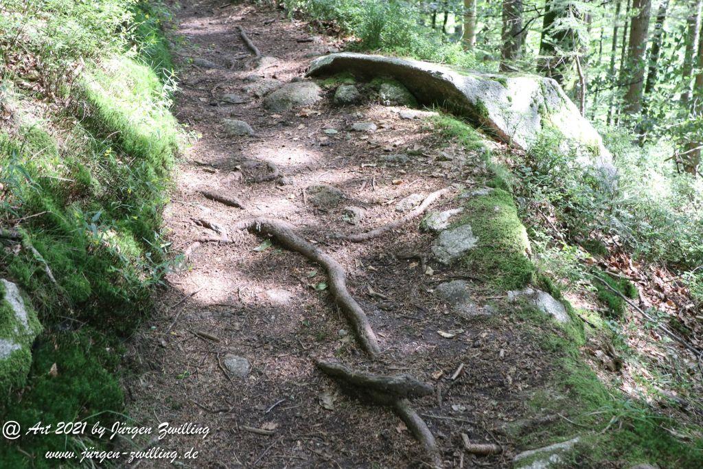 Philosophische Bildwanderung  Klösterle Schleife - Burgbach Wasserfall - Bad Rippoldsau - Schwarzwald