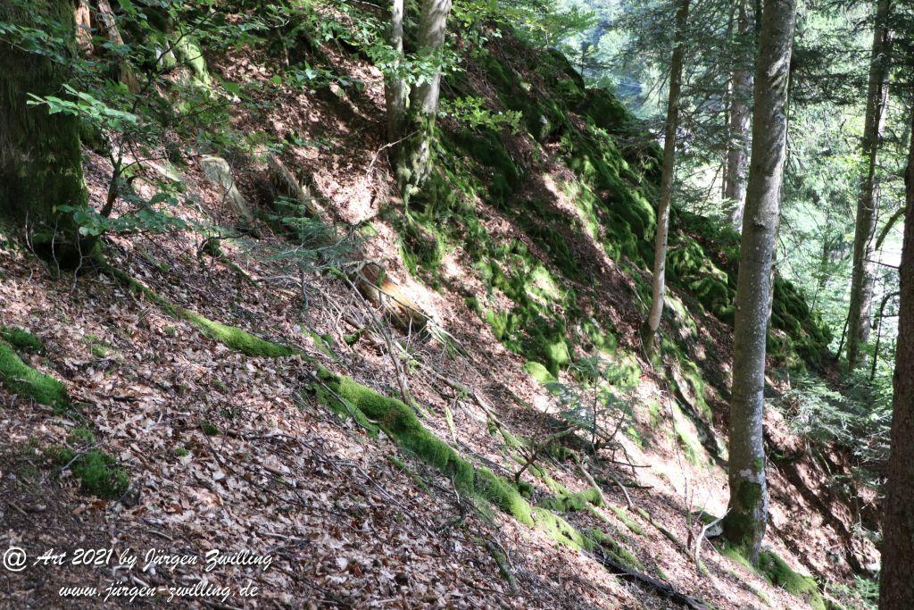 Philosophische Bildwanderung Klösterle Schleife - Burgbach Wasserfall - Bad Rippoldsau - Schwarzwald