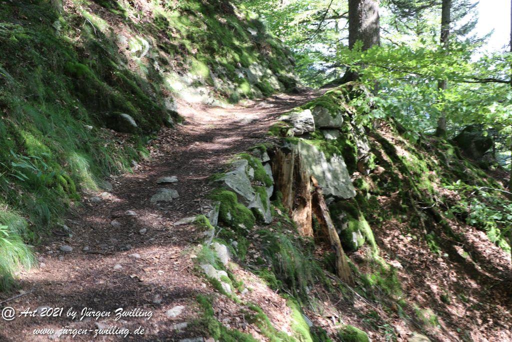 Philosophische Bildwanderung Klösterle Schleife - Burgbach Wasserfall - Bad Rippoldsau - Schwarzwald
