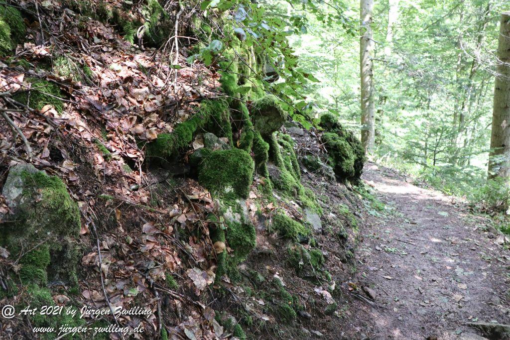Philosophische Bildwanderung Klösterle Schleife - Burgbach Wasserfall - Bad Rippoldsau - Schwarzwald