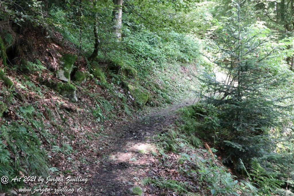 Philosophische Bildwanderung  Klösterle Schleife - Burgbach Wasserfall - Bad Rippoldsau - Schwarzwald