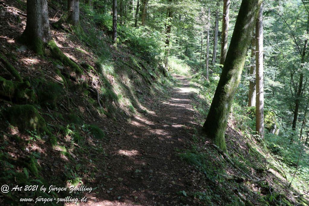 Philosophische Bildwanderung  Klösterle Schleife - Burgbach Wasserfall - Bad Rippoldsau - Schwarzwald