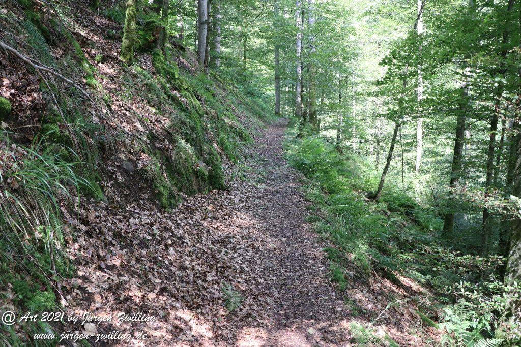 Philosophische Bildwanderung Klösterle Schleife - Burgbach Wasserfall - Bad Rippoldsau - Schwarzwald