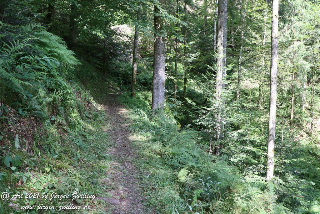 Philosophische Bildwanderung Klösterle Schleife - Burgbach Wasserfall - Bad Rippoldsau - Schwarzwald
