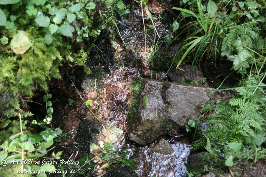 Philosophische Bildwanderung Klösterle Schleife - Burgbach Wasserfall - Bad Rippoldsau - Schwarzwald