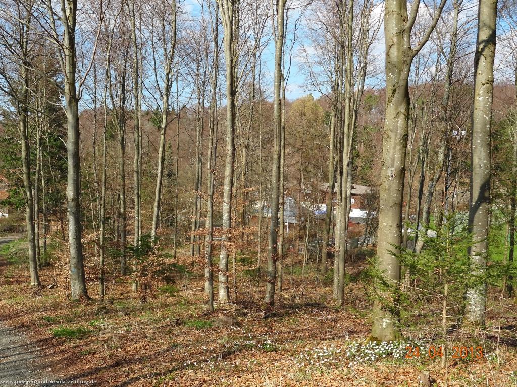 Philosophische Bildwanderung Traufgang-Schlossfelsenpfad