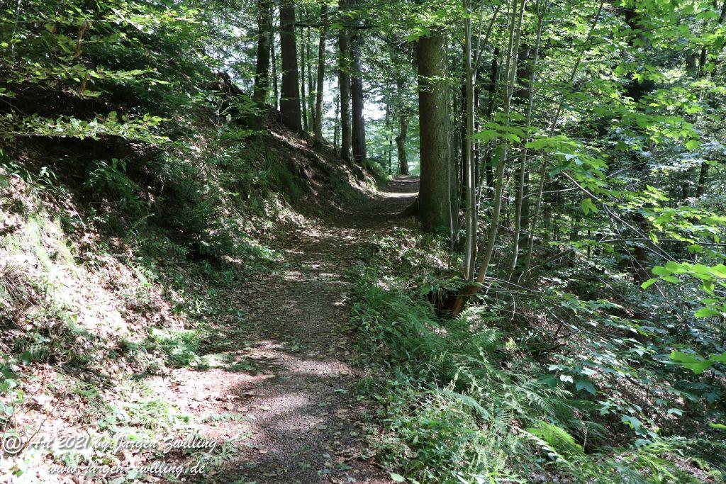 Philosophische Bildwanderung Klösterle Schleife - Burgbach Wasserfall - Bad Rippoldsau - Schwarzwald