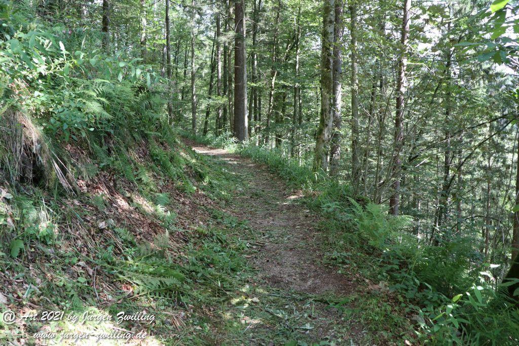 Philosophische Bildwanderung Klösterle Schleife - Burgbach Wasserfall - Bad Rippoldsau - Schwarzwald