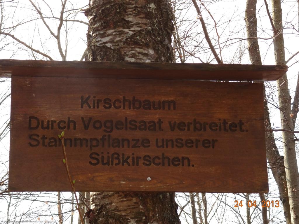 Philosophische Bildwanderung Traufgang-Schlossfelsenpfad