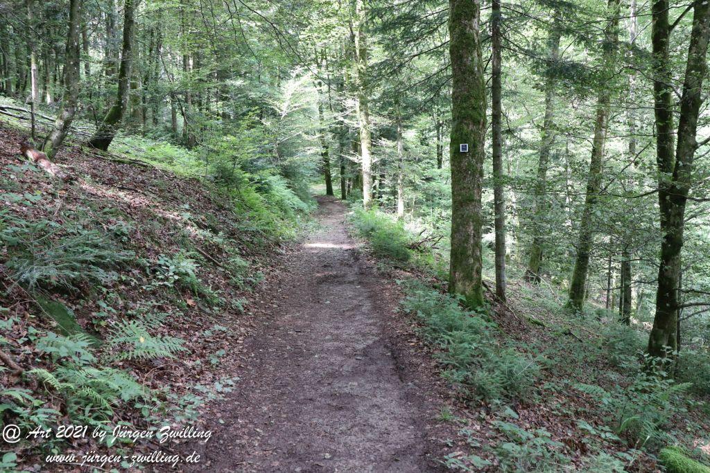 Philosophische Bildwanderung Klösterle Schleife - Burgbach Wasserfall - Bad Rippoldsau - Schwarzwald