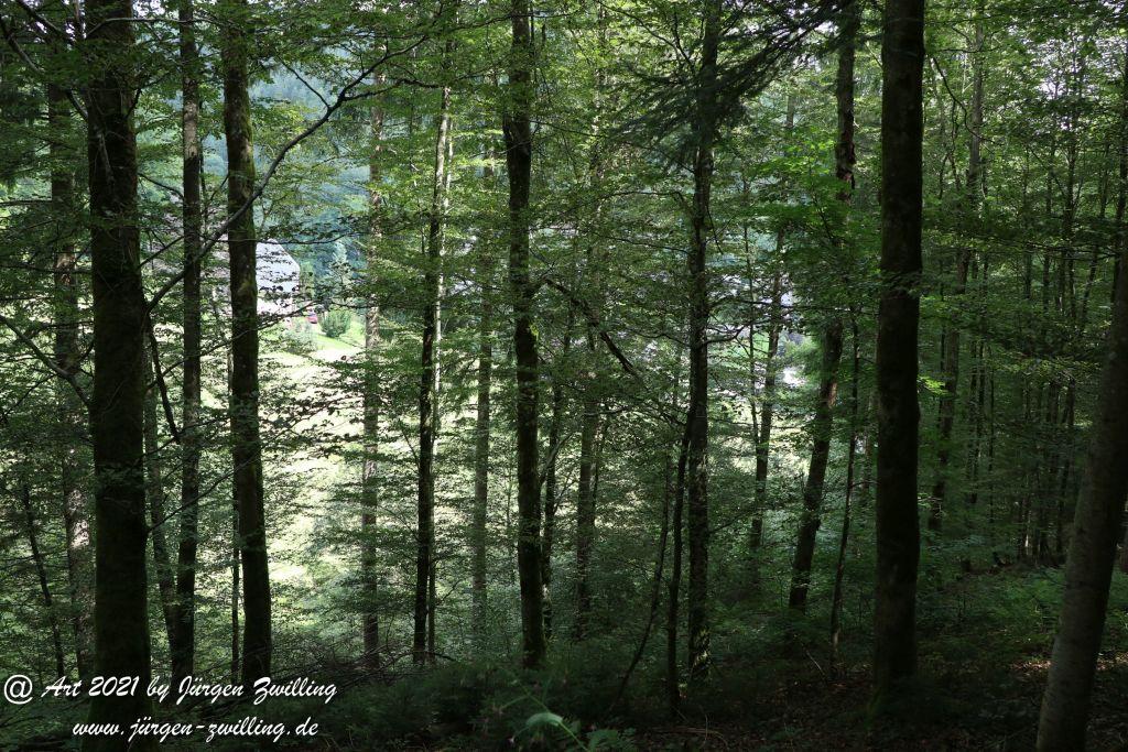 Philosophische Bildwanderung Klösterle Schleife - Burgbach Wasserfall - Bad Rippoldsau - Schwarzwald