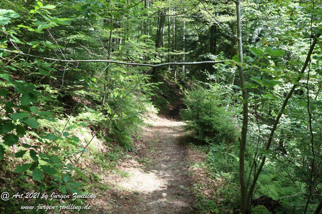 Philosophische Bildwanderung Klösterle Schleife - Burgbach Wasserfall - Bad Rippoldsau - Schwarzwald
