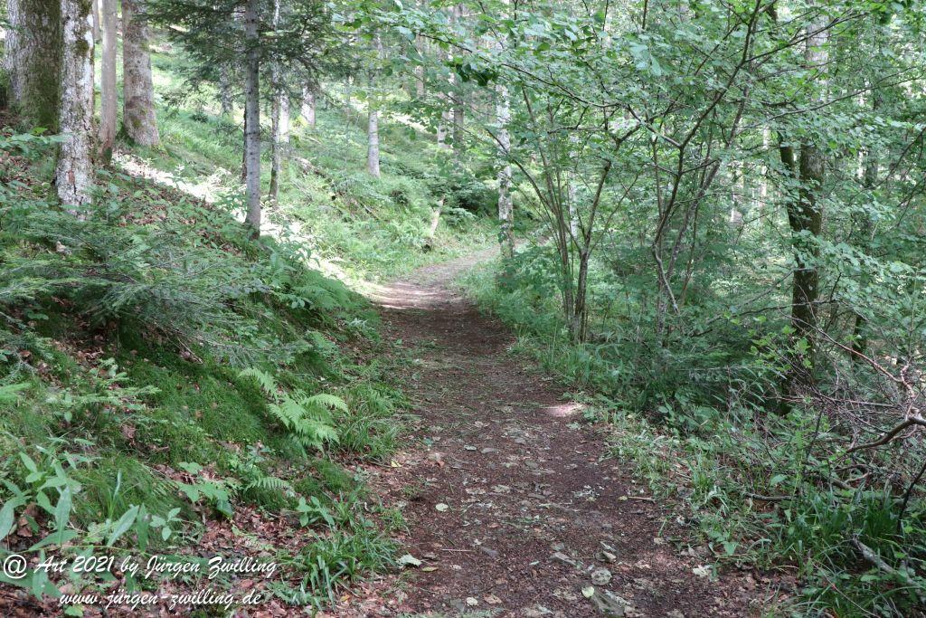 Philosophische Bildwanderung Klösterle Schleife - Burgbach Wasserfall - Bad Rippoldsau - Schwarzwald